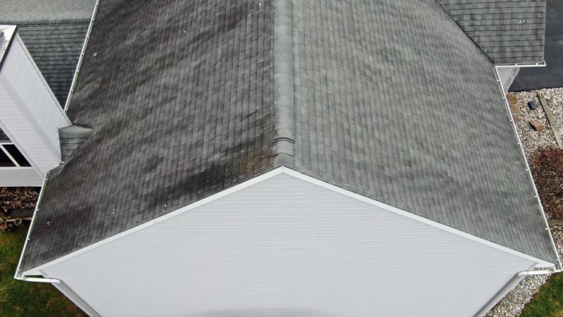Asphalt Roof Inspection in Douglas County, CO