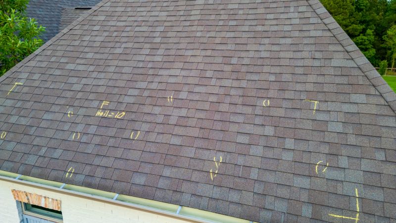 Asphalt Roof Inspection in Elbert, CO