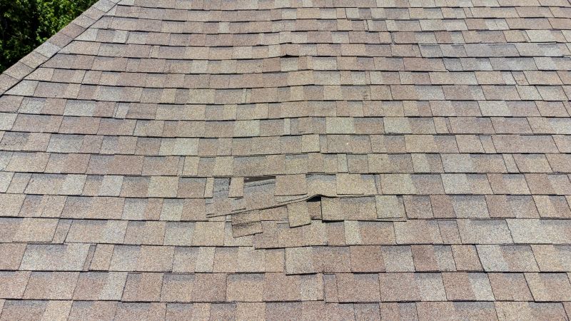 Asphalt Roof Inspection in Parker, CO