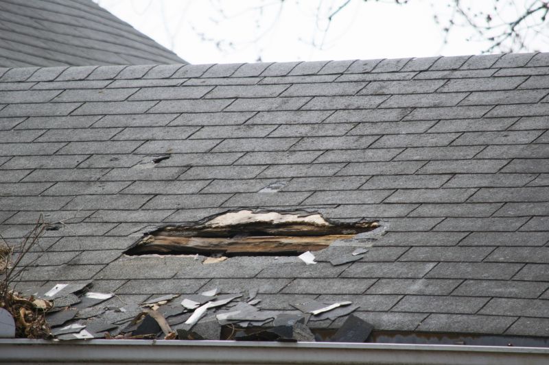 Asphalt Roof Leak Repair in Elbert County, CO