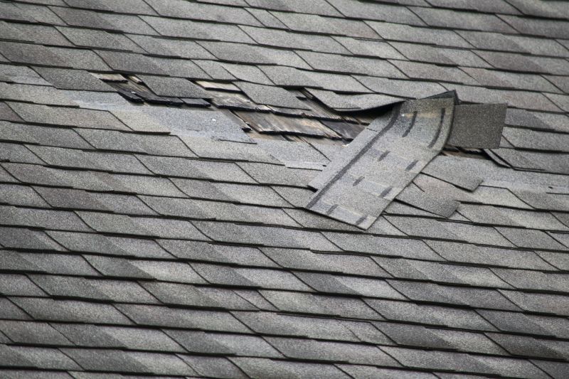 Asphalt Roof Leak Repair in Monument, CO