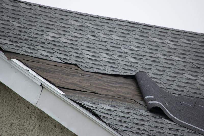 Asphalt Shingles Repair in Monument, CO