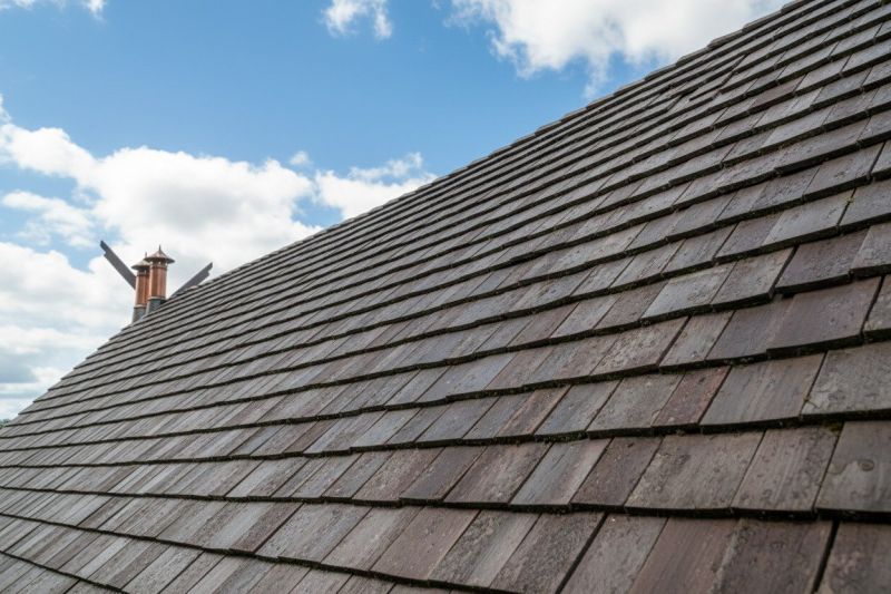 Cedar Roof Replacement in Larkspur, CO
