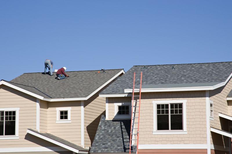 Damaged Roof Repair in Arapahoe County, CO