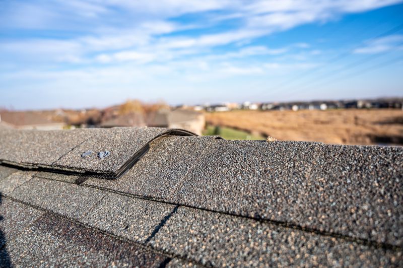 Damaged Roof Repair in Aurora, CO