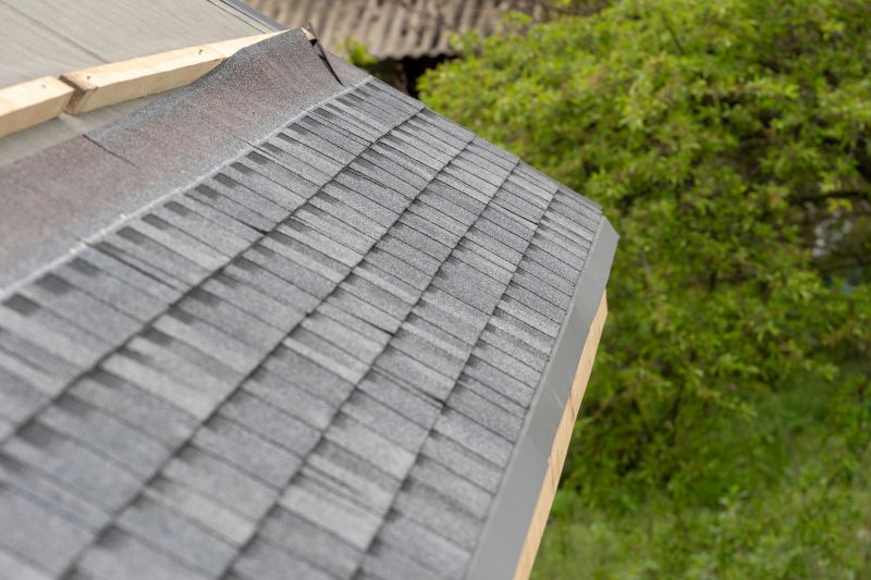 Damaged Roof Repair in Larkspur, CO