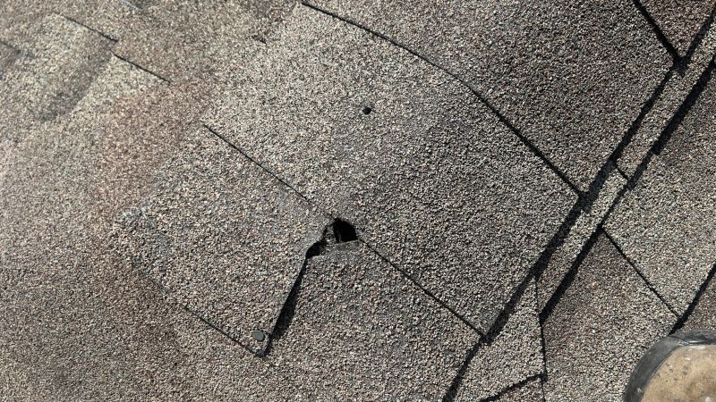 Damaged Roof Repair in Elizabeth, CO