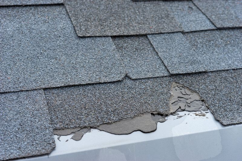 Damaged Roof Repair in Parker, CO