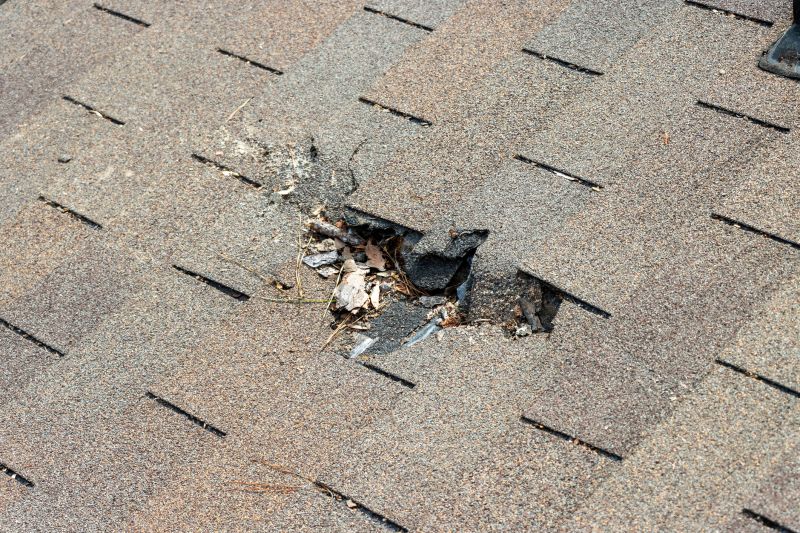 Damaged Roof Replacement in Monument, CO