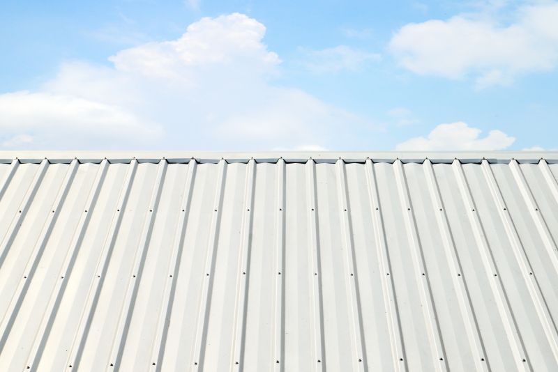 Metal Roof Coating Installation in Elizabeth, CO