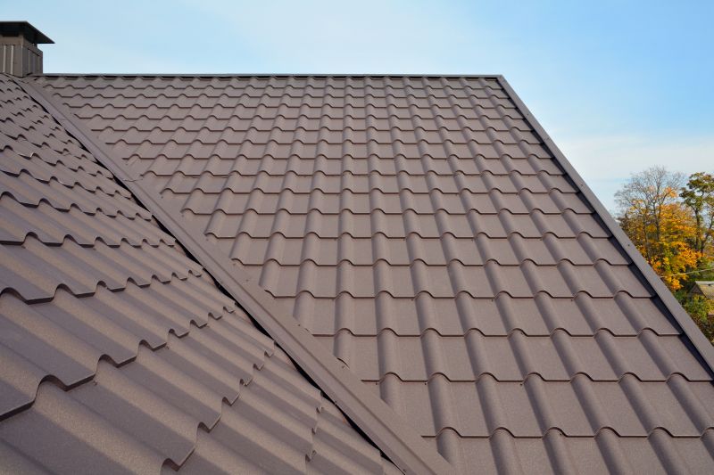Metal Roof Installation in Arapahoe County, CO