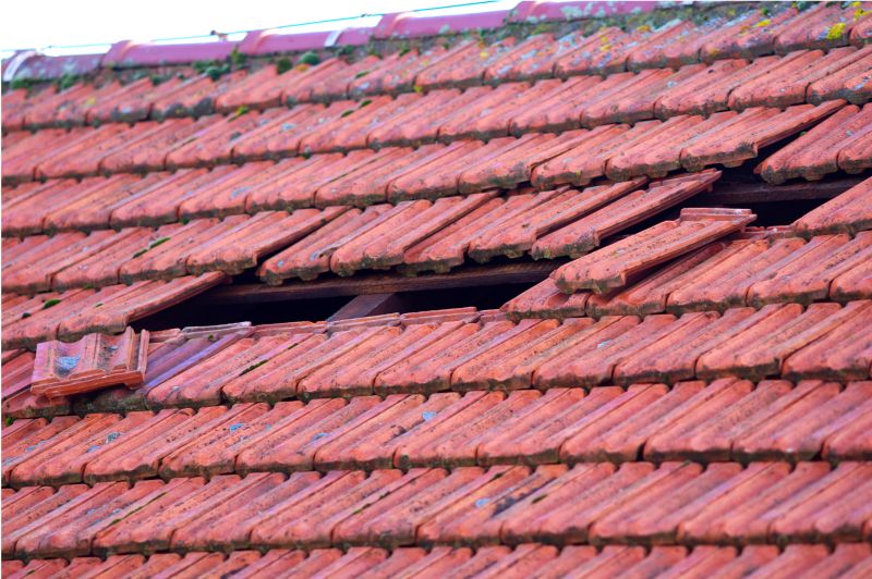 Roof Damage Inspection in Elbert, CO
