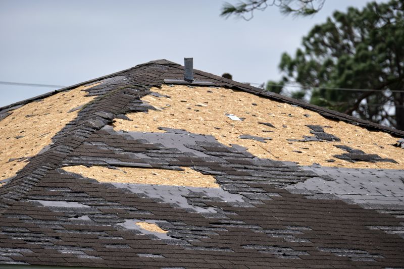 Roof Damage Inspection in Elbert County, CO