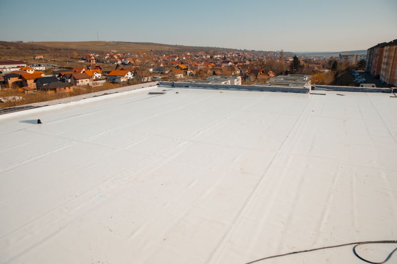 Rubber Roof Repair in Douglas County, CO