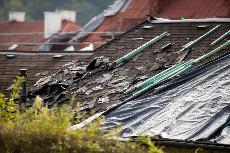 Storm Damage Roof Tarping in Elizabeth, CO