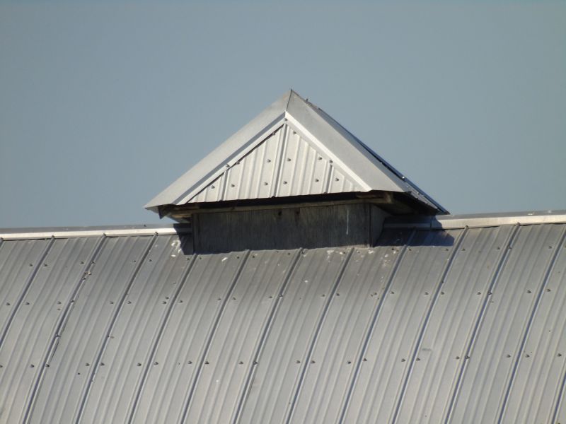 Tin Roof Installation in Parker, CO