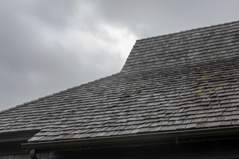 Wood Shake Roof Replacement in Littleton, CO