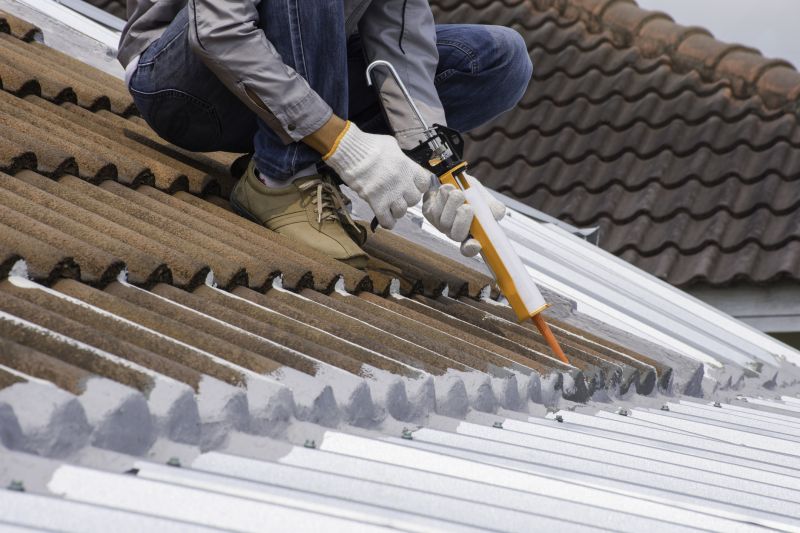 Metal Roof Coating Service